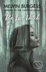 The Lost Witch - Melvin Burgess - kniha z kategorie Sci-fi, fantasy a komiksy