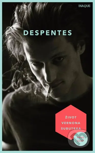 Život Vernona Subutexa - Virginie Despentes