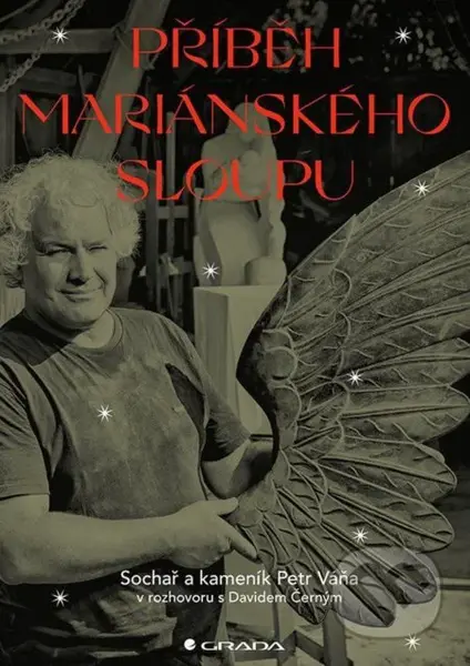 Příběh Mariánského sloupu - David Černý - kniha z kategorie Historie