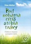 Pod nohama cítíš stébla trávy (Příběhy pro imaginaci a autogenní trénink) - kniha z kategorie Spiritualita