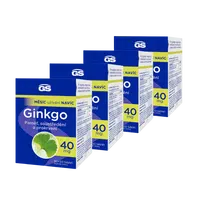 GS Ginkgo 40 mg, 4 × 120 tablet