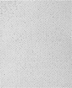 Hayek - Rostislav Koryčánek, Pavel Hayek