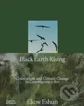 Black Earth Rising - Ekow Eshun - kniha z kategorie Umění, design a architektura