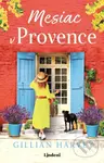 Mesiac v Provence - Gillian Harvey - kniha z kategorie Romantická