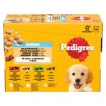PEDIGREE Kapsička Junior mixovaný výber s ryžou v želé 12pack