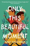 Only This Beautiful Moment - Abdi Nazemian