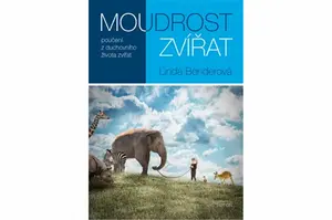 Moudrost zvířat - Linda Bender