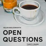 Open Questions: Thirty Years of Writing about Art - Helen Molesworth, Donna Wingate