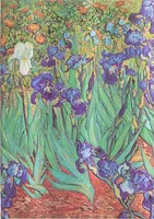 Zápisník Paperblanks - Van Gogh’s Irises - Midi nelinkovaný