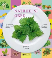 Natrhej si oběd - Jaroslav Vašák - e-kniha