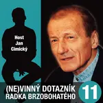 (Ne)vinný dotazník Radka Brzobohatého 11. - audiokniha