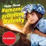 Narození princezny Malenky - Václav Čtvrtek, Jaroslava Pokorná, Alfred Strejček, Jaroslav Kepka, Blanka Waleská, Josef Patočka, Alexandra Myšková - au