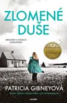 Inspektorka Lottie Parkerová 7: Zlomené duše - Patricia Gibneyová - e-kniha