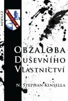 Obžaloba duševního vlastnictví - Stephan N. Kinsella - e-kniha