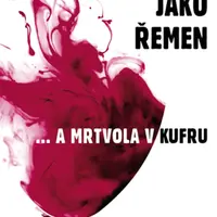 Mejdan jako řemen - Martina Frühaufová, Daniel Weber - e-kniha