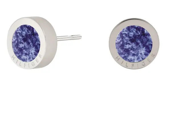 Tommy Hilfiger Stylové ocelové náušnice pecky Iconic Circle 2780661