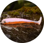 Redbass gumová nástraha ripper swimmer slim ghost shad - l 88 mm