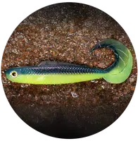 Redbass gumová nástraha twister kixter dark/signal yellow uv - l 100 mm