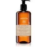 Apivita Dandruff Dry Dandruff Shampoo šampon proti lupům 500 ml