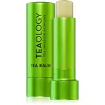 Teaology Tea Balm hydratační balzám na rty v tyčince odstín Matcha Tea - transparent 4 g