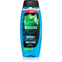 Radox Mineral Therapy sprchový gel pro muže maxi Mint & Sea Salt 450 ml