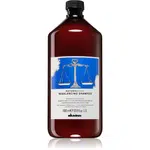 Davines Naturaltech Rebalancing Shampoo hloubkově čisticí šampon pro mastnou pokožku hlavy 1000 ml