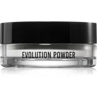 Danessa Myricks Beauty Evolution Powder sypký transparentní pudr odstín #1 11 g