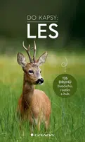 Les - Do kapsy - Ute Wilhelmsenová - e-kniha
