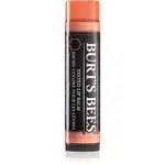 Burt’s Bees Tinted Lip Balm balzám na rty odstín Zinnia 4.25 g