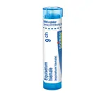Boiron EQUISETUM HIEMALE CH9 granule 4 g