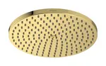 Hansgrohe Raindance S - Hlavová sprcha, priemer 24 cm, EcoSmart, leštený vzhľad zlata 27624990