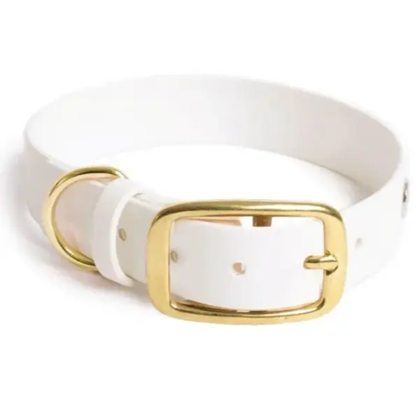 Reedog obojek bílý Biothane | Obojek pro psy - M