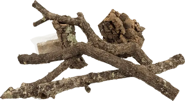 Dekorace Repti Planet z korku, větví a rašeliníku