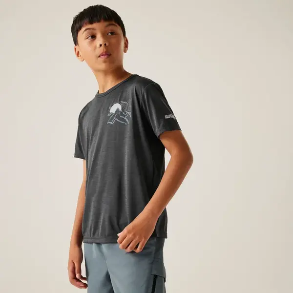 Dětské funkční tričko regatta alvarado ix šedá 176