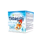 Megafyt Dětský čaj Zimní 10x2g