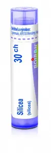 Silicea 30CH gra.4g