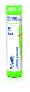 Pulsatilla 5CH gra.4g