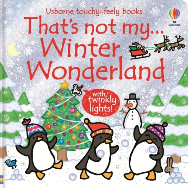 That's not my... Winter Wonderland - Fiona Watt