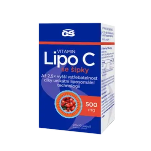 GS Vitamin Lipo C 500 mg se šípky, 90+10 kapslí