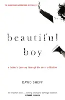Beautiful Boy - David Sheff