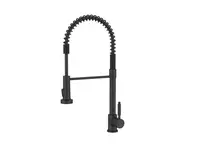 Alveus Urban - Dřezová baterie s flexibilním ramenem a sprškou, matná černá 1150887