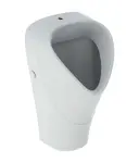 Geberit Selnova - Pisoár Trigonal, přívod shora, bílá 501.676.00.1