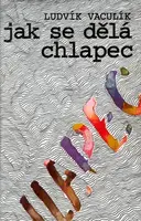 Jak se dělá chlapec - Ludvík Vaculík