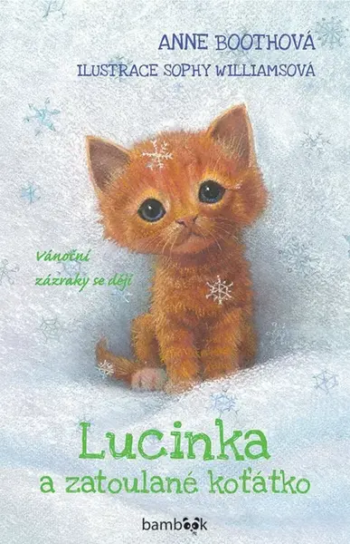 Lucinka a zatoulané koťátko - Anne Booth