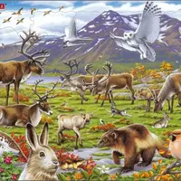 Puzzle MAXI - Zvířata ve stepi/50 dílků