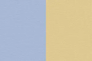 Renesans Akryl 100ml – 75 Bicolor žluto-modrá