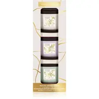 Yankee Candle Little Luxuries votívna sviečka darčeková sada