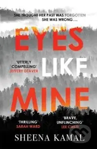 Eyes Like Mine ('Utterly compelling . . . Will stay with you for a long, long time' Jeffery Deaver) - kniha z kategorie Společenská beletrie