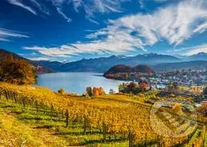 Vineyards - puzzle z kategorie Přírodní scenérie