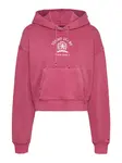 Tommy Jeans Mikina 'VARSITY'  burgundská / biela